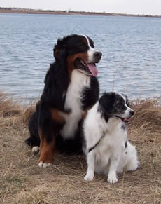 pic1 - soul of a man