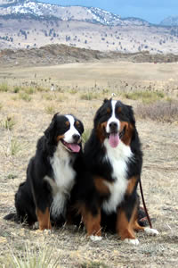 pic3 - keepers of the plain